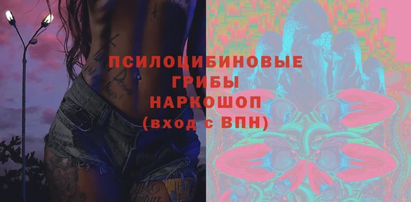 прущие грибы Верея