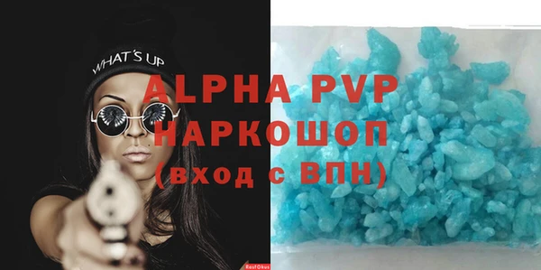 прущие грибы Верея