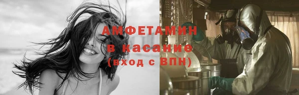 прущие грибы Верея