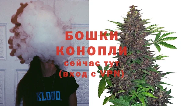 дмт Бородино