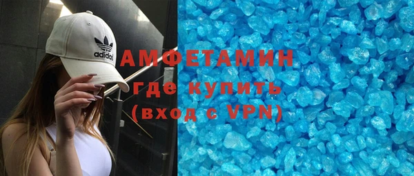 прущие грибы Верея
