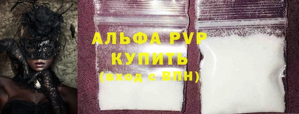 прущие грибы Верея