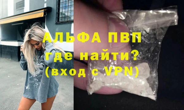 прущие грибы Верея