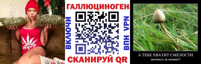 Псилоцибиновые грибы Psilocybe  hydra ТОР  Ковылкино 